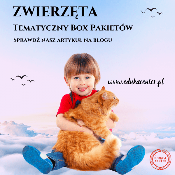 zwierzęta - tematyczny box pakietów